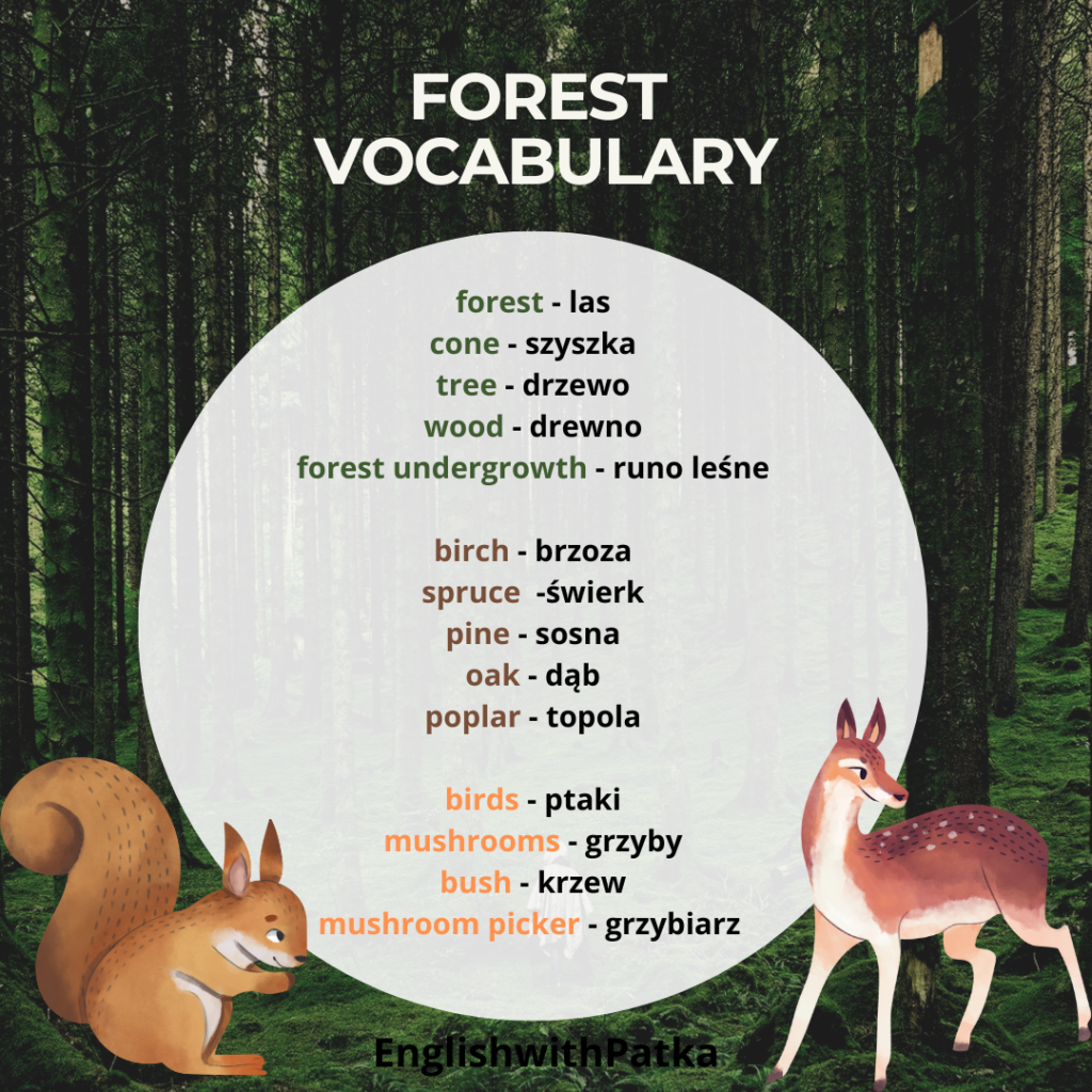 forest vocabulary